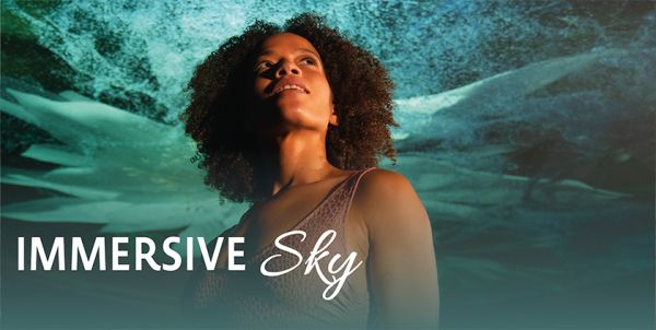 Immersive Sky