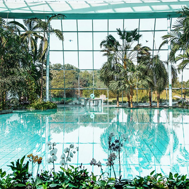 Palmenparadies in der Therme Euskirchen